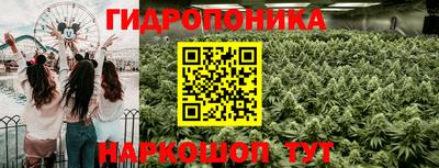 синтетический гашиш Заводоуковск