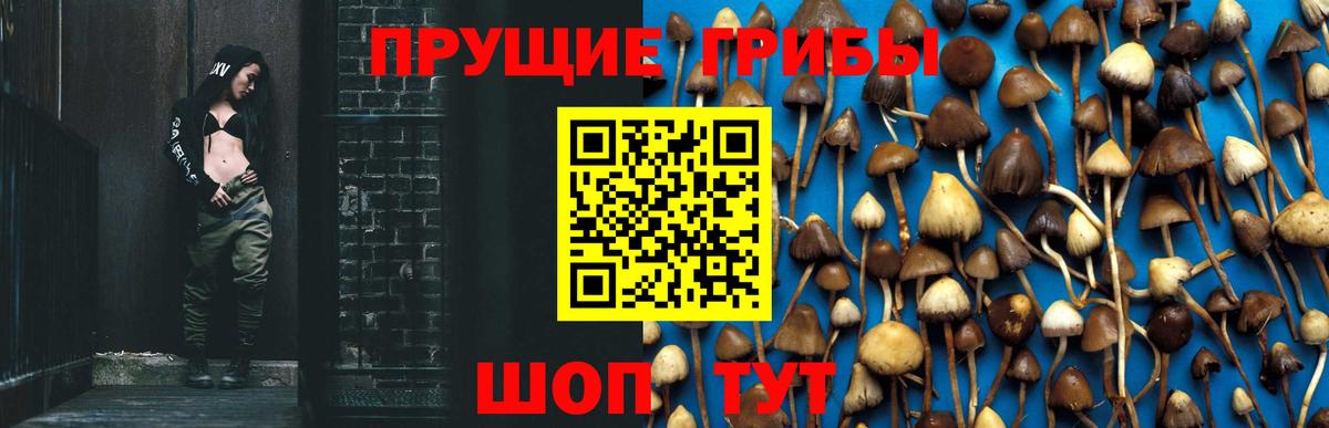 Псилоцибиновые грибы мицелий Луховицы