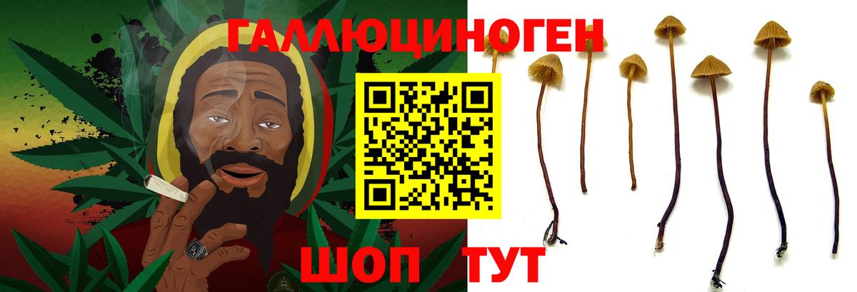 Луховицы  Галлюциногенные грибы ЛСД  Псилоцибиновые грибы MAGIC MUSHROOMS  Вход с VPN 